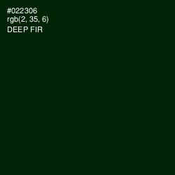 #022306 - Deep Fir Color Image